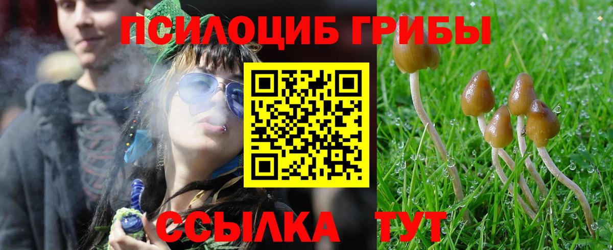 Химки  Псилоцибиновые грибы Psilocybe  купить наркоту  Псилоцибиновые грибы мицелий  Вход с VPN 